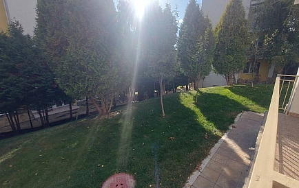 ID 15084 0 Фото 7