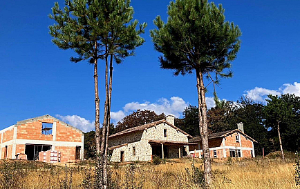 ID 14984 0 Фото 1 