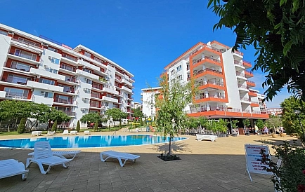 ID 15381 0 Фото 6