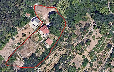 ID 14774 0 Фото 5