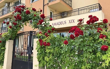 ID 14569 Квартира-студія в Амадеус 19 Фото 7