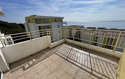 ID 14806 0 Фото 5