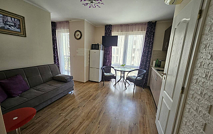 ID 14757 Велика квартира-студія в Даун Парк Делюкс Фото 1 