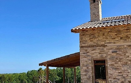 ID 14984 0 Фото 10