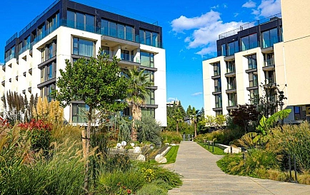 ID 13811 0 Фото 7