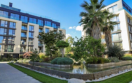 ID 13811 0 Фото 6