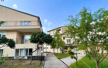 ID 11066 Кошариця Фото 6