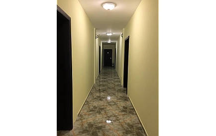 ID 3720 Грін Парадайз 4 Фото 5