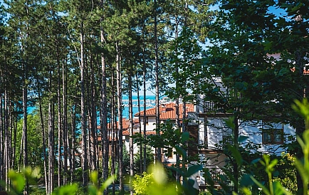 ID 82 Курортне селище в Созополі Фото 8