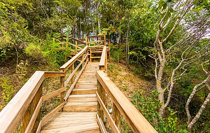 ID 9387 Квартири від забудовника в Опен Сі Резиденс Фото 5