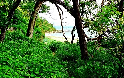 ID 2575 Вілла Бистра Фото 2