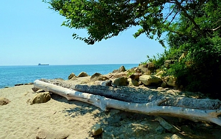 ID 2575 Вілла Бистра Фото 8