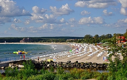 ID 2750 Грін Парадайз 2 Фото 2