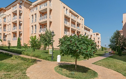 ID 280 Санні Дей 6 Фото 4