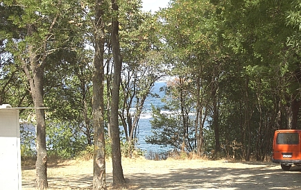 ID 4115 Вріс Фото 2