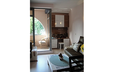 ID 4115 Вріс Фото 8