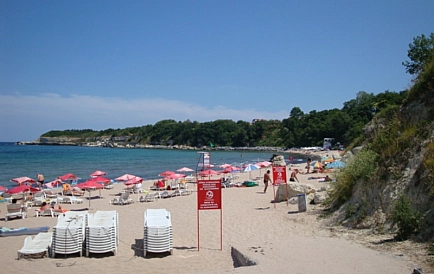 ID 4115 Вріс Фото 4