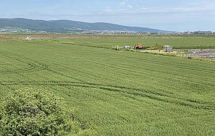 ID 8624 Квартира-студія в Санні Дей 5 Фото 8