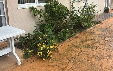 ID 14972 Двокімнатна квартира в Балкан Бриз 2 Фото 5