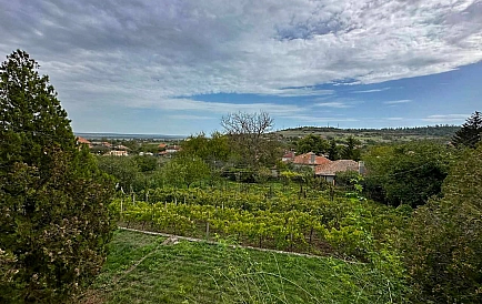 ID 13124 Будинок в Детеліна Фото 10