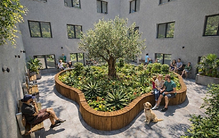 ID 15455 0 Фото 2