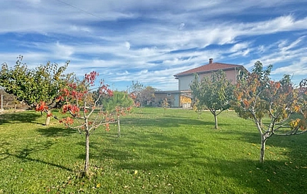 ID 14937 0 Фото 7