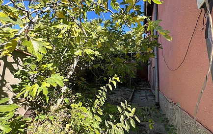 ID 14739 0 Фото 9