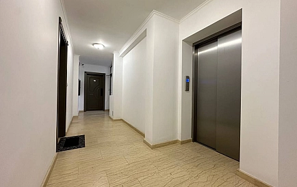 ID 15239 0 Фото 10