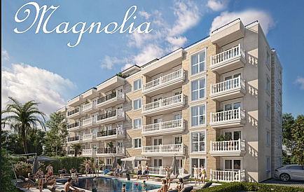 Magnolia 8